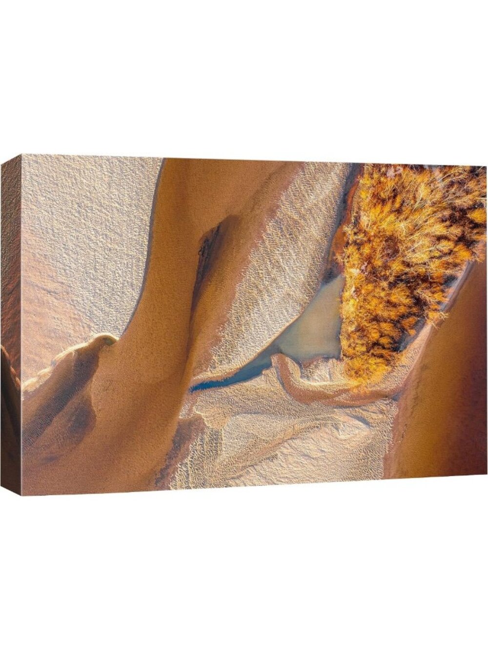 Autumn Aerial Canvas Wall Art - Fall Tree Leaf Forest Photography 24x36
